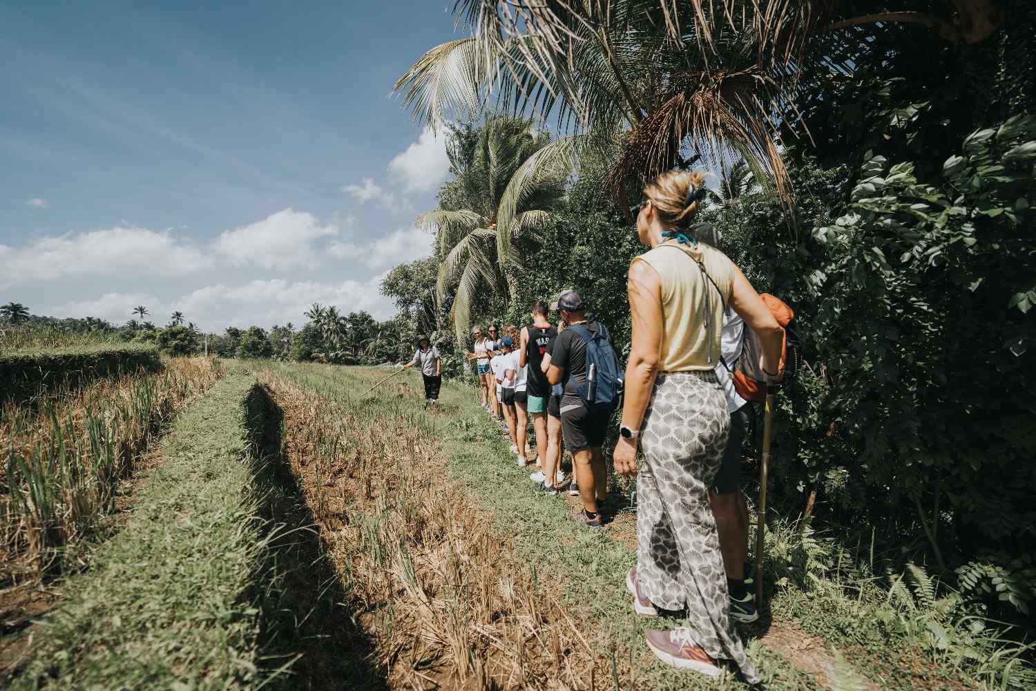 Guided Nature Trekking in Tabanan Rice Fields